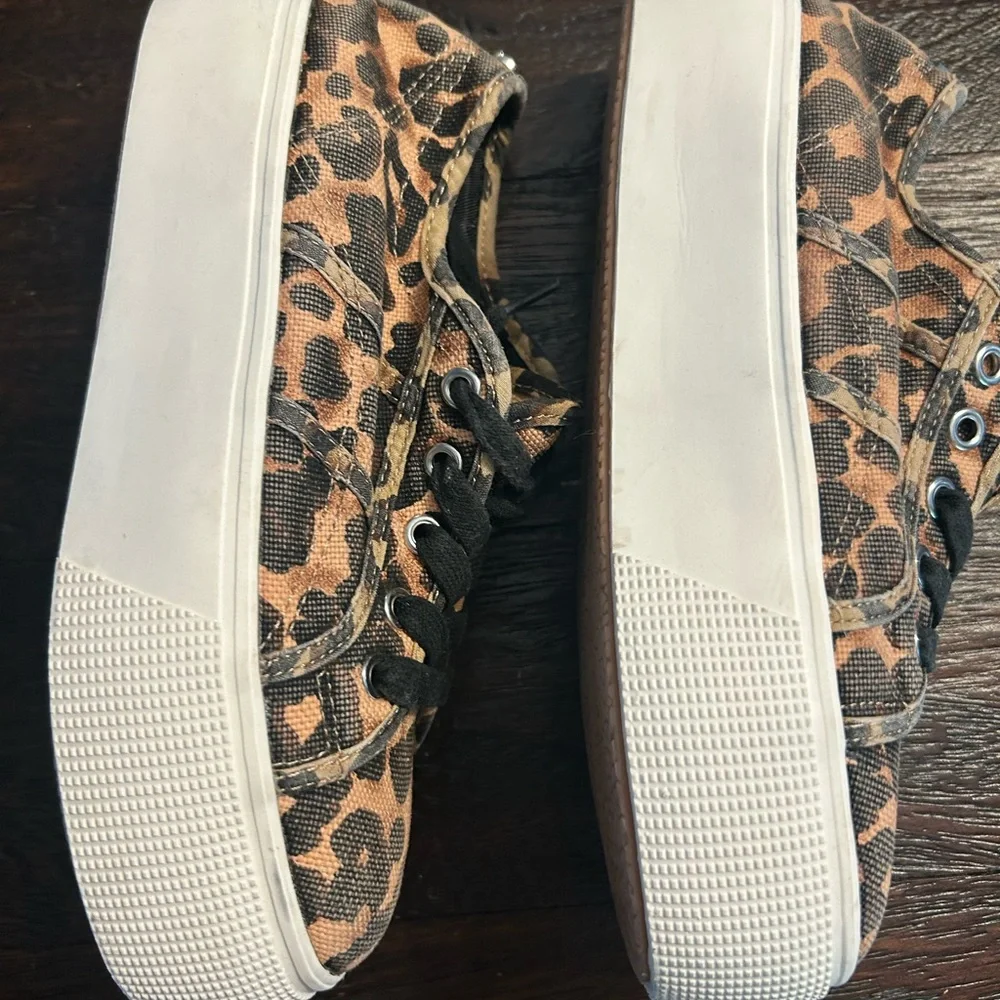 Steve Madden Emmi Platform Sneakers in Leopard with White Bottoms